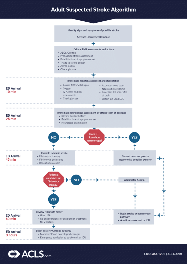 Suspected Stroke Algorithm Protocol Guidelines | ACLS.com