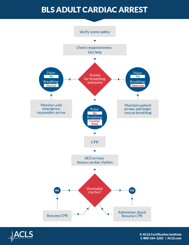 bls-adult-cardiac-arrest-791x1024-1.png